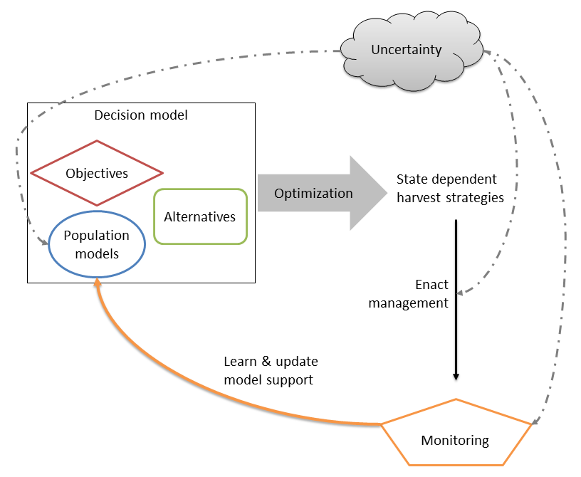 Adaptive management cycle