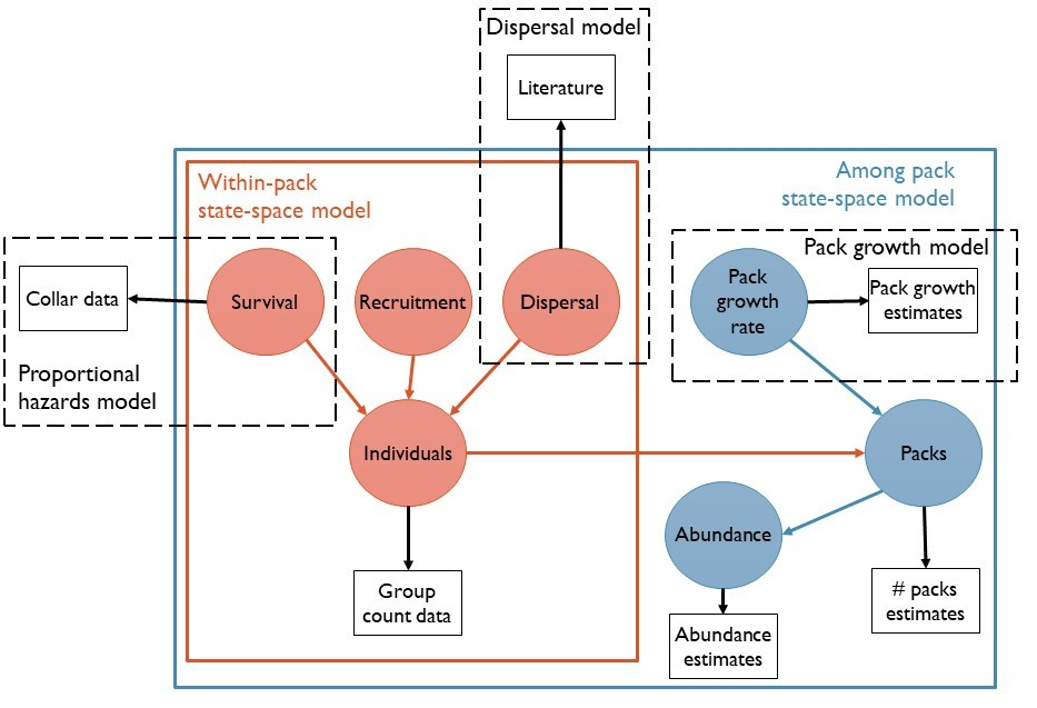 Integrated population model